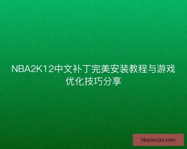 NBA2K12中文补丁完美安装教程与游戏优化技巧分享